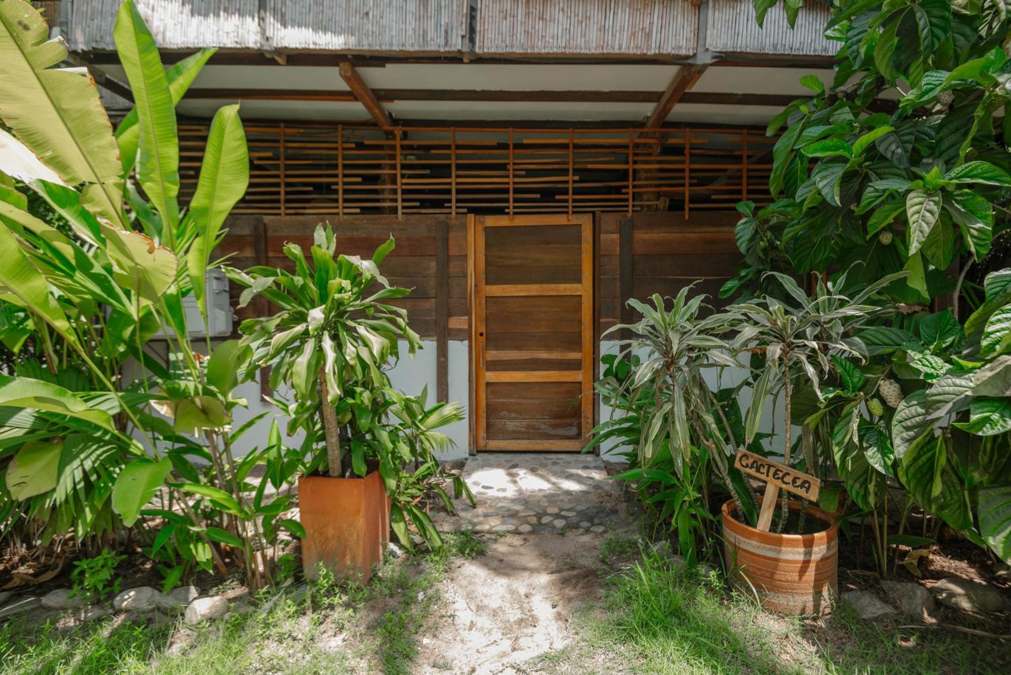 Finca Escondida パロミノ エクステリア 写真